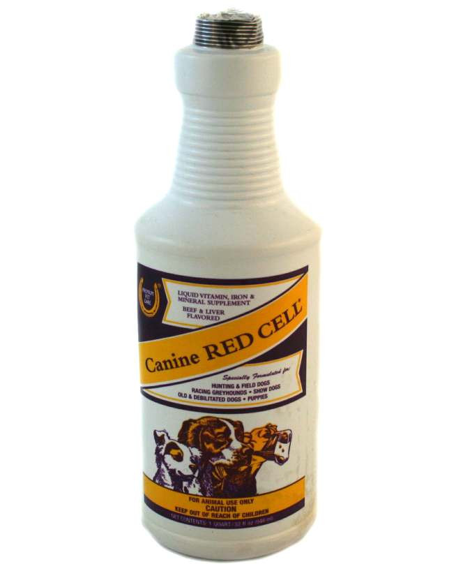 Do Dogs Need Iron Supplements